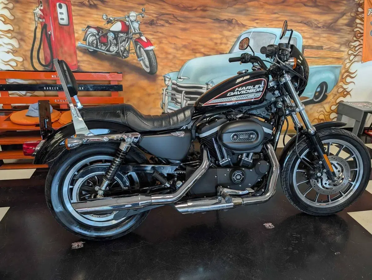 Harley-Davidson 883 R (2006 - 07) - XL 883R (4)