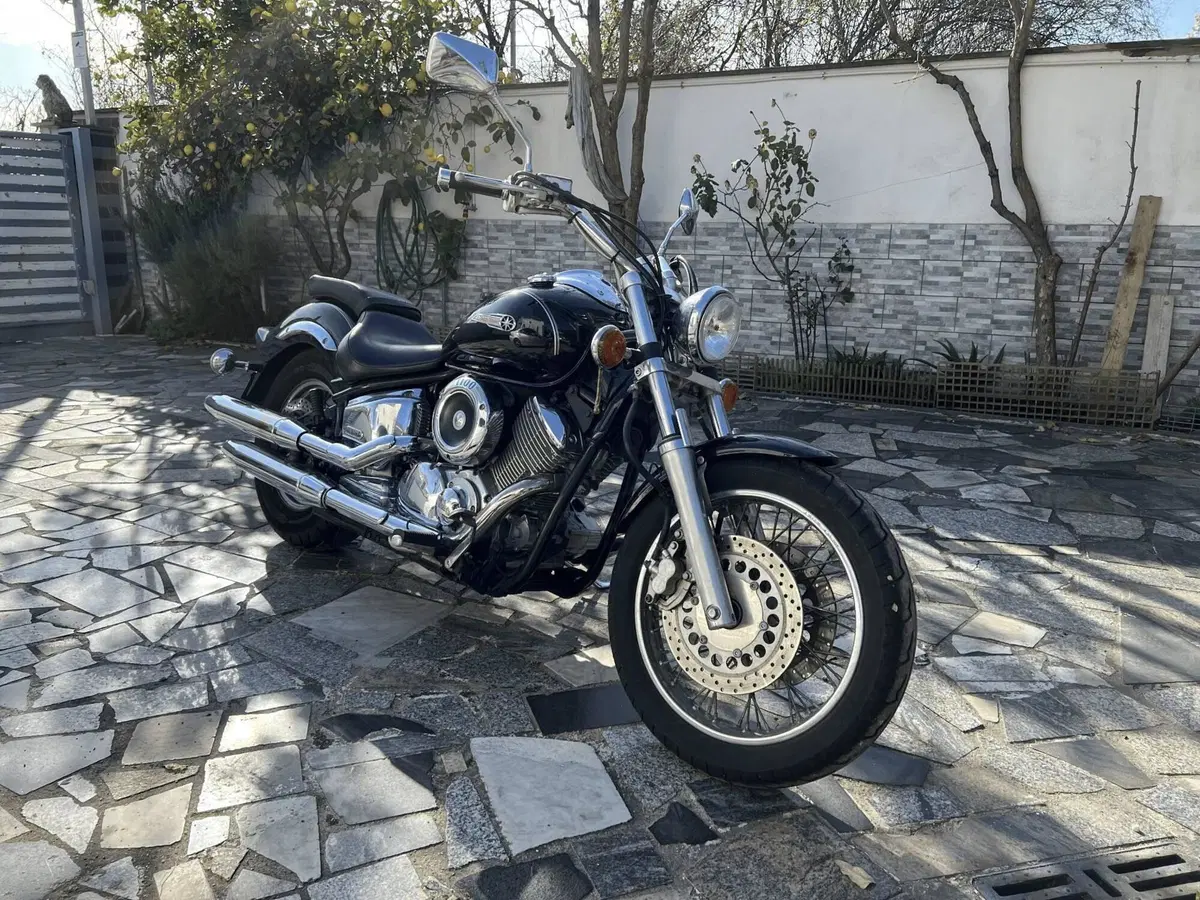 Yamaha Yamaha XVS 1100 Drag Star (1999 - 06) 