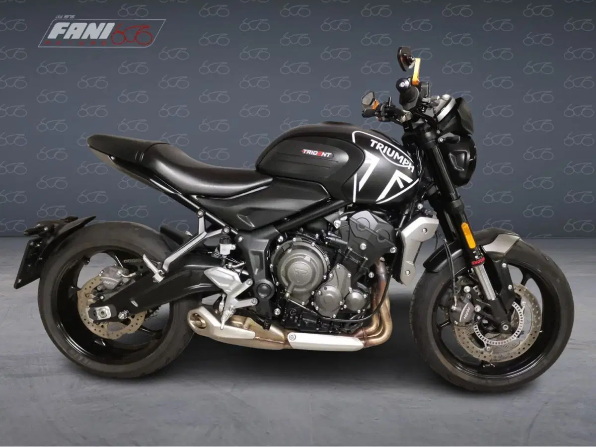 Triumph Trident 660 (2021 - 24)