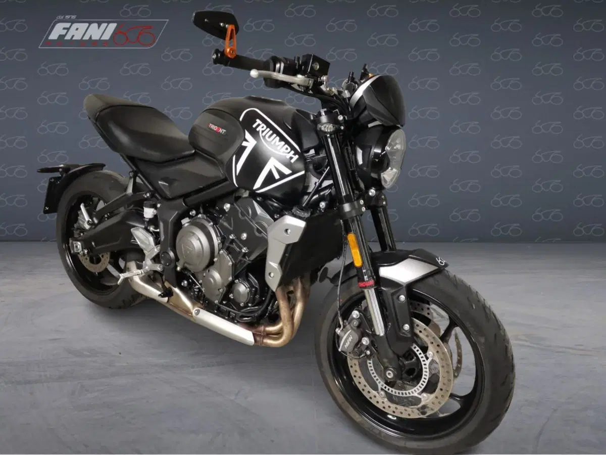 Triumph Trident 660 (2021 - 24) (2)