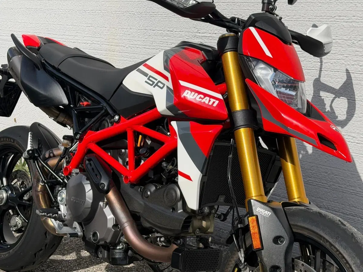 Ducati Hypermotard 950 SP (2022 - 25) (3)
