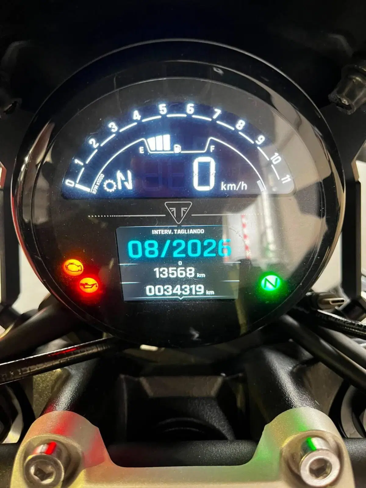 Triumph Trident 660 (2021 - 24) (3)