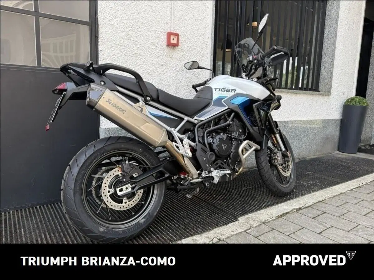 Triumph Tiger 900 Alpine Special Edition (2026) (3)