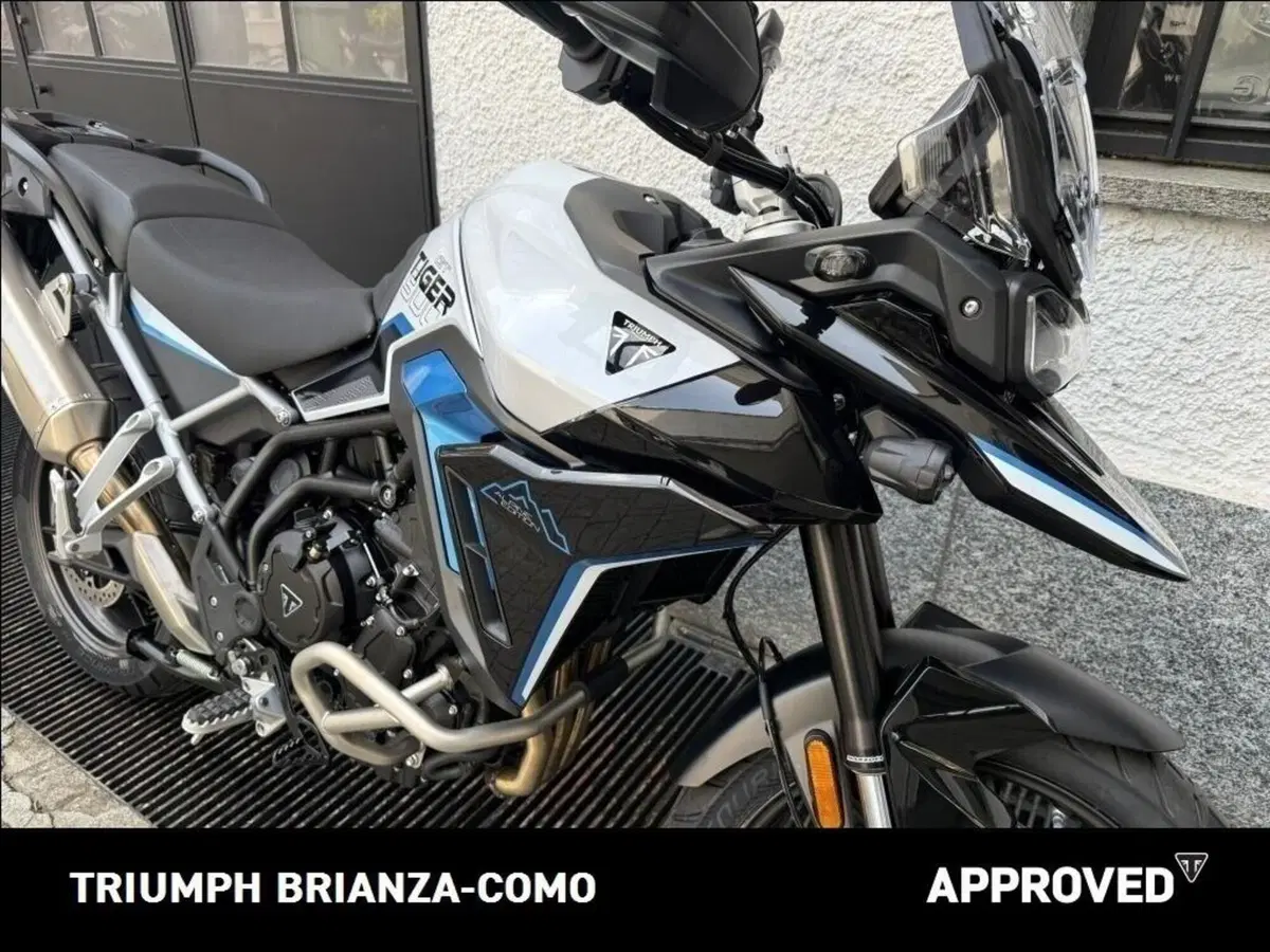 Triumph Tiger 900 Alpine Special Edition (2026) (4)