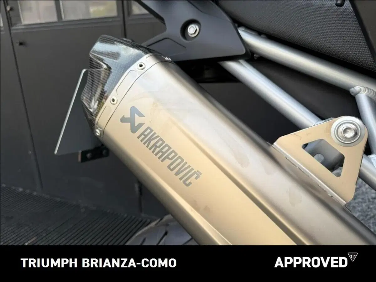 Triumph Tiger 900 Alpine Special Edition (2026) (6)