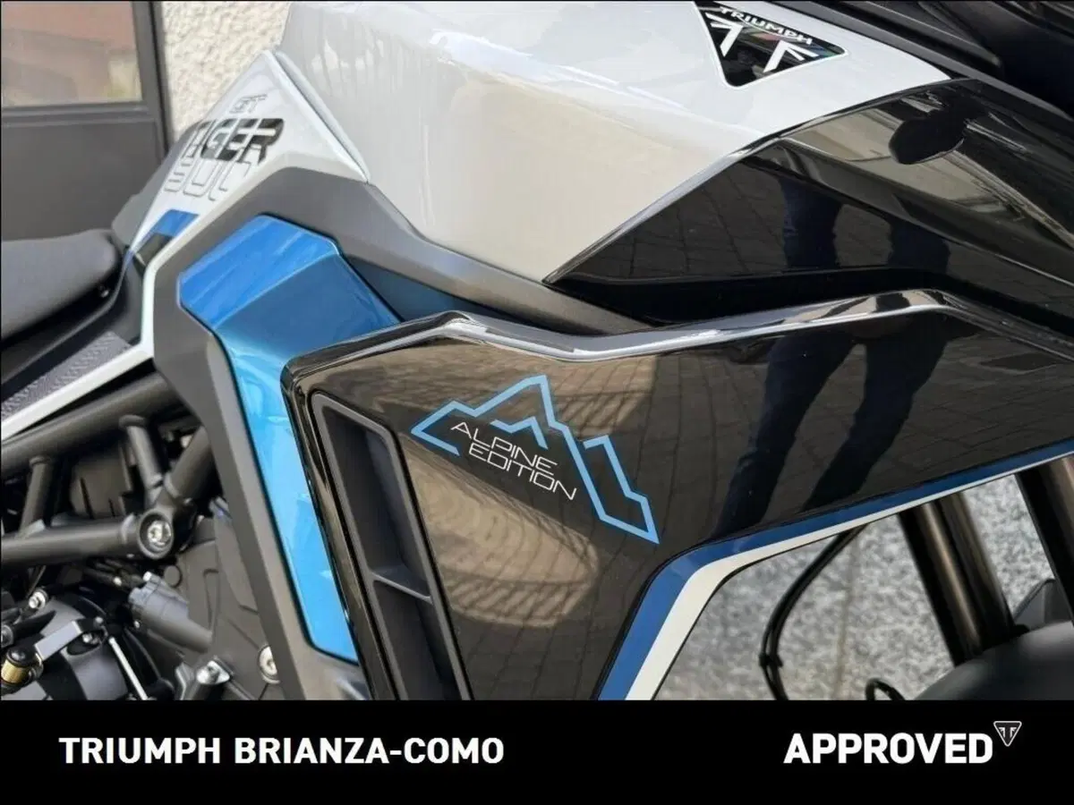 Triumph Tiger 900 Alpine Special Edition (2026) (5)