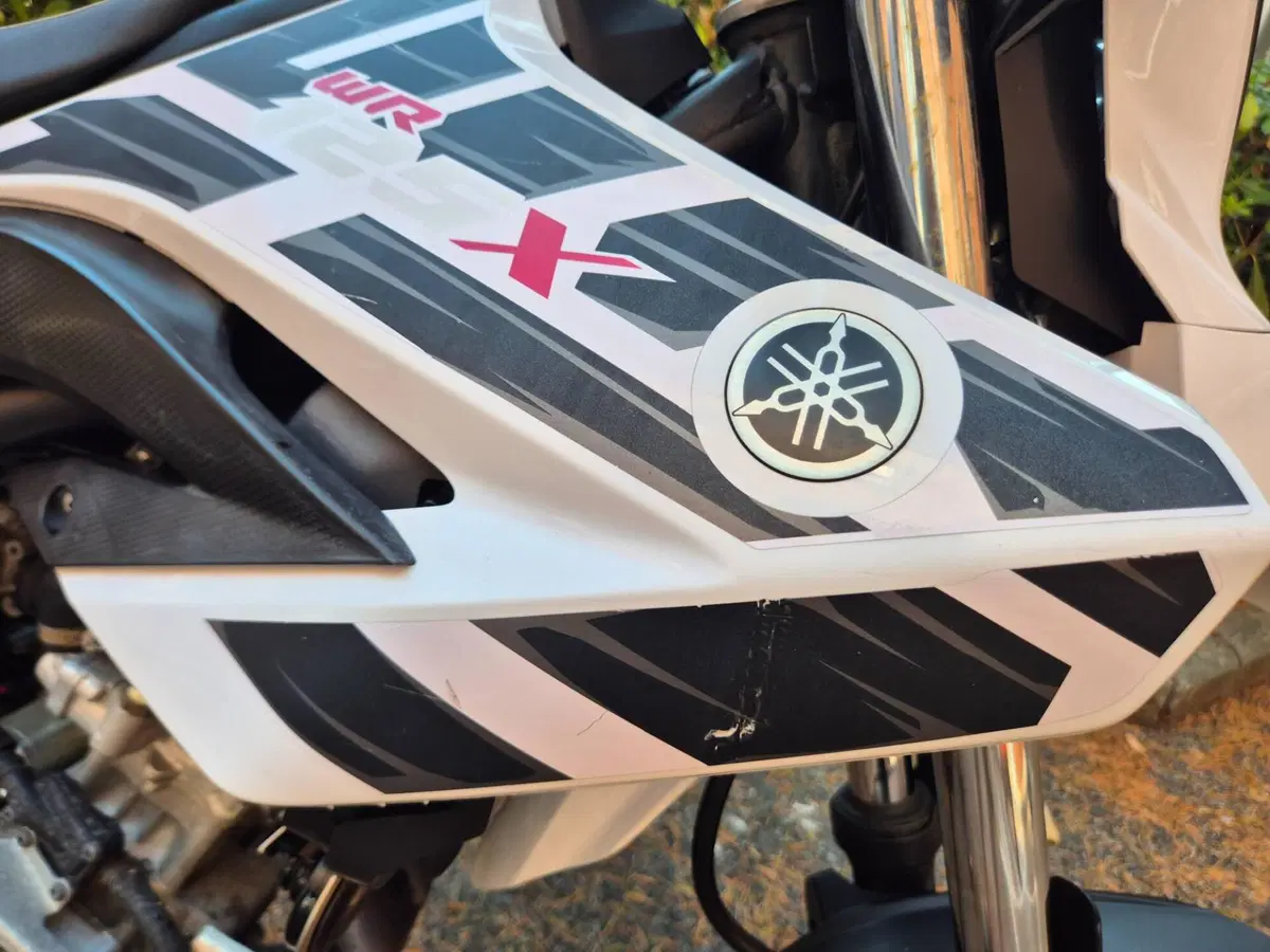 Yamaha WR 125 X (2009 - 16) (7)