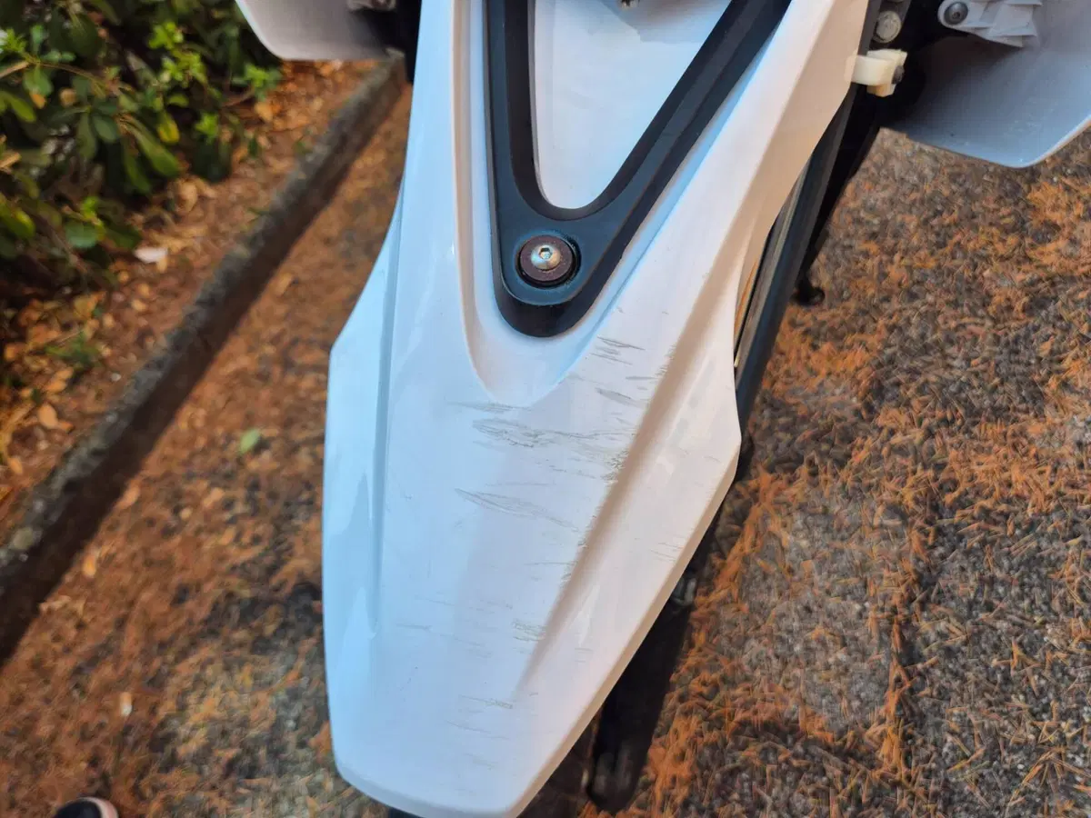 Yamaha WR 125 X (2009 - 16) (9)