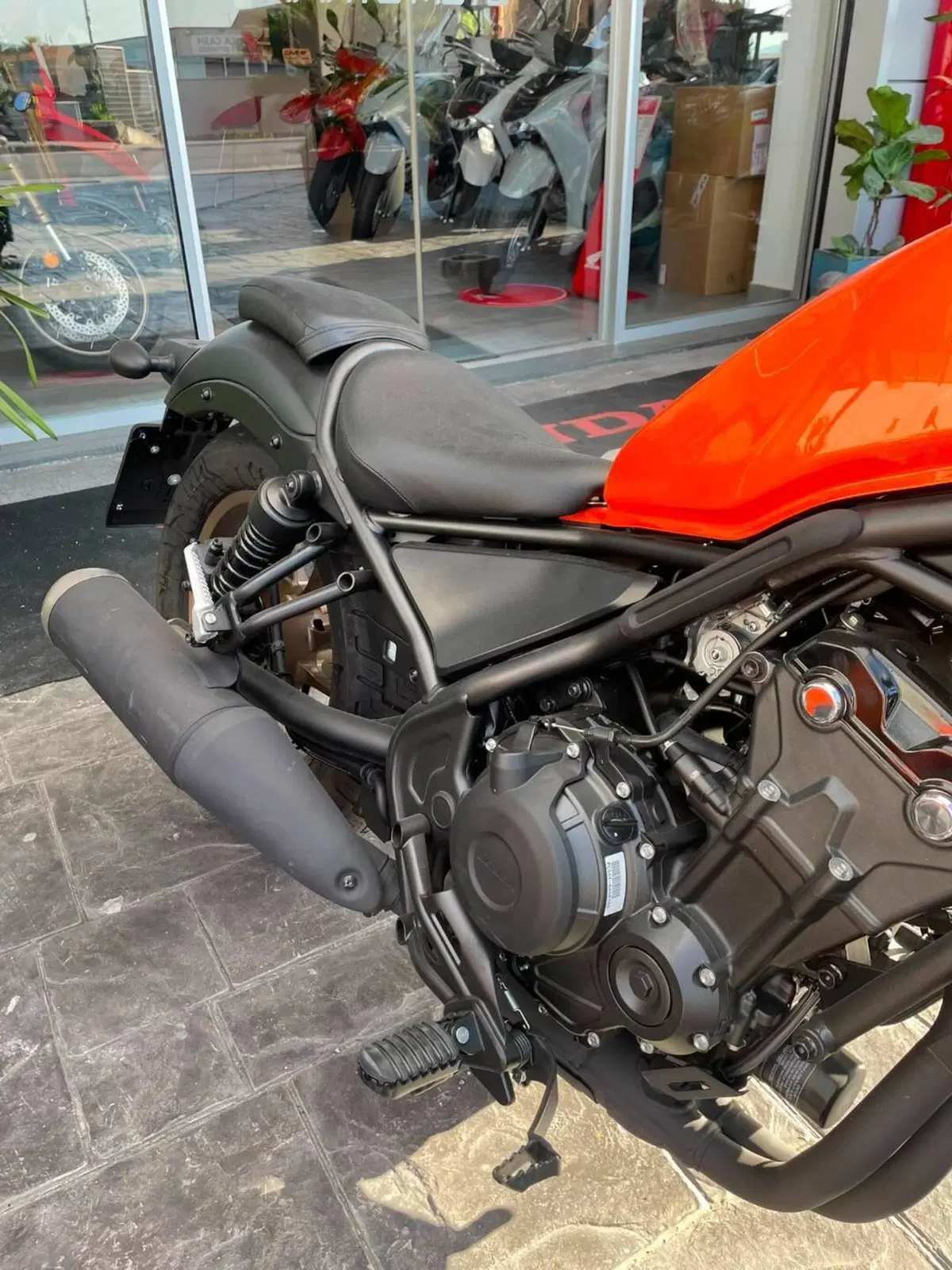 Honda CMX 500 Rebel (2025 - 26) (6)