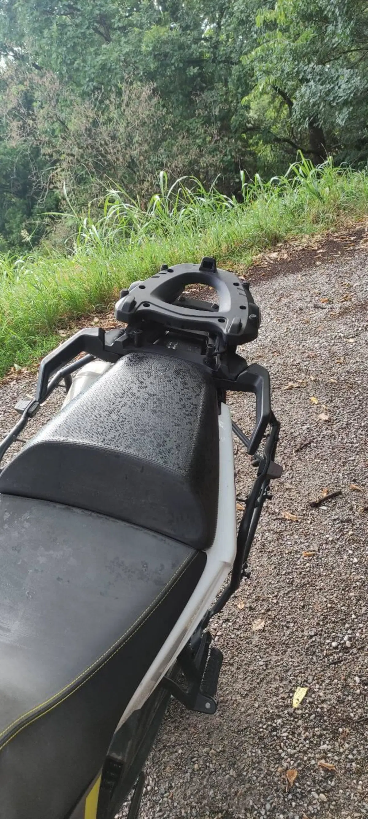 Husqvarna Norden 901 (2022 - 26) (3)