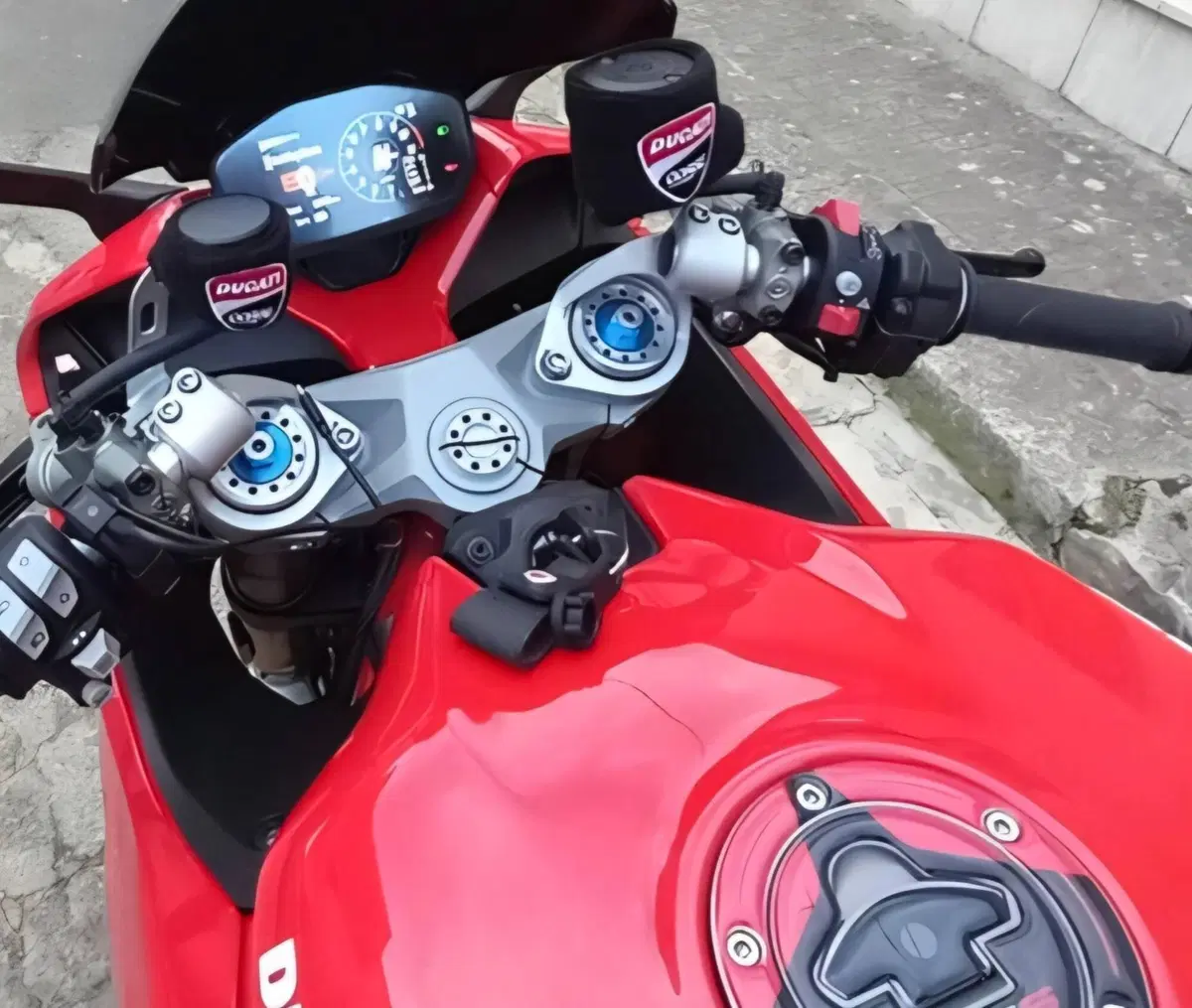 Ducati SuperSport 950 S (2021 - 24) (3)