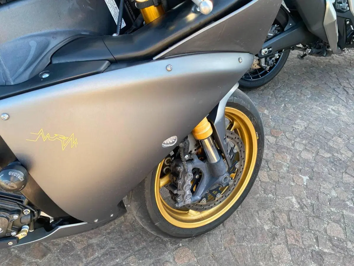 Yamaha YZF R1 (2009 - 11) (4)