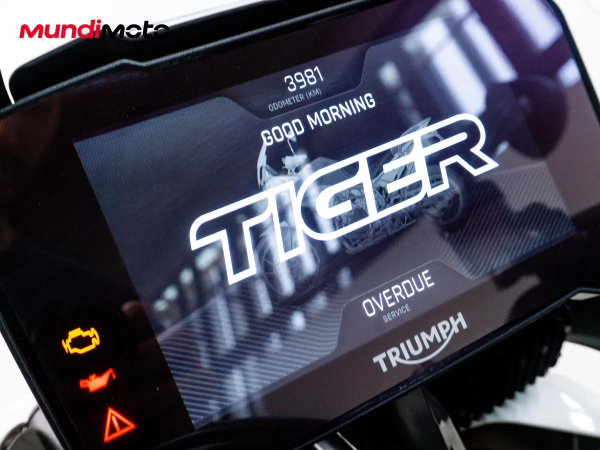 Triumph Tiger 900 Rally Pro (2020 - 23) (12)