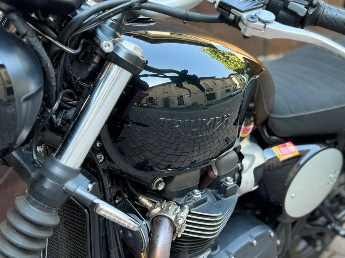 Triumph Scrambler 900 Stealth Edition (2024) (5)