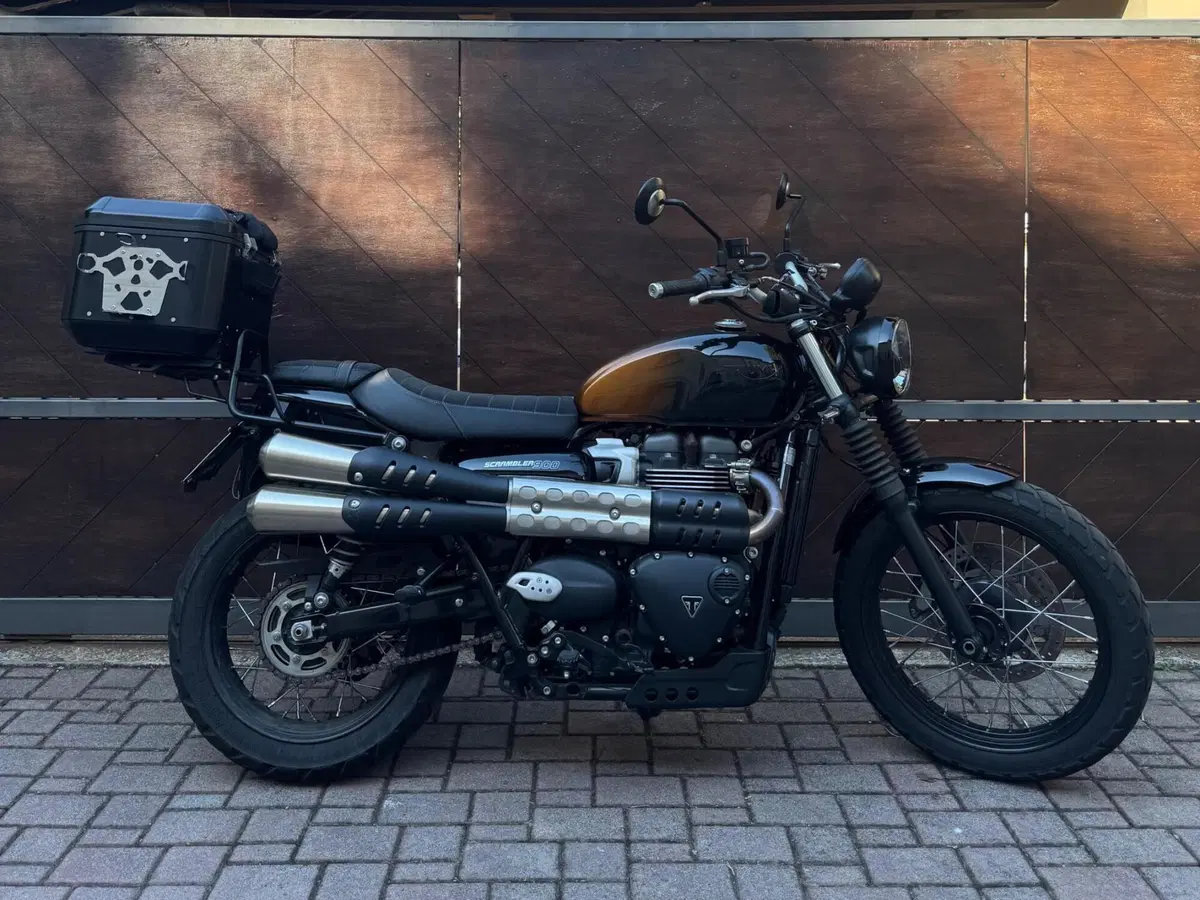 Triumph Scrambler 900 Stealth Edition (2024) (6)