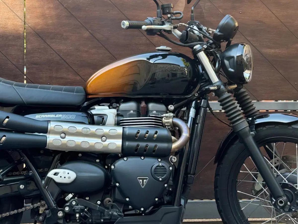 Triumph Scrambler 900 Stealth Edition (2024) (7)
