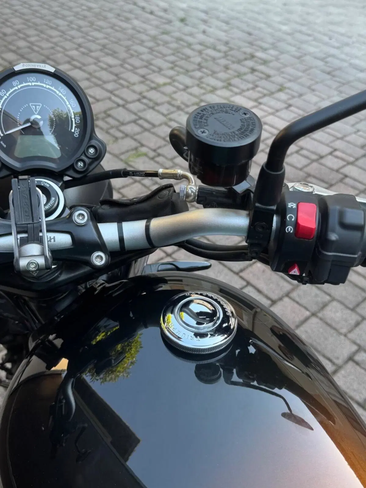 Triumph Scrambler 900 Stealth Edition (2024) (12)