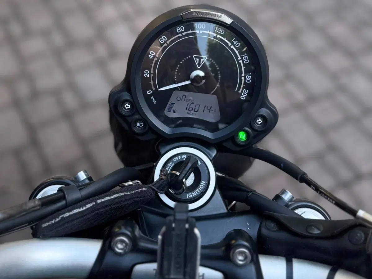 Triumph Scrambler 900 Stealth Edition (2024) (13)