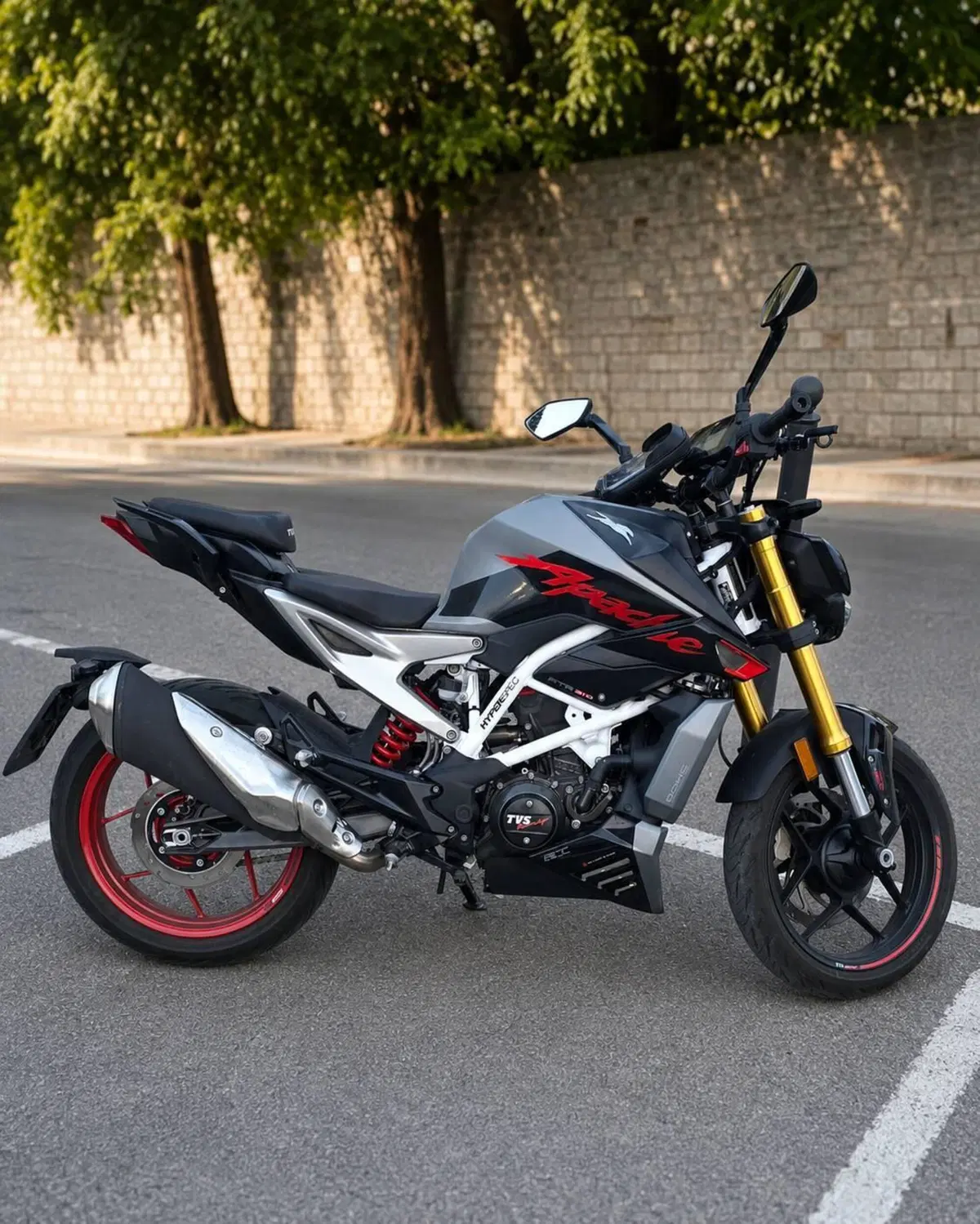 TVS Motor RTR 310 (2024 - 26) (3)