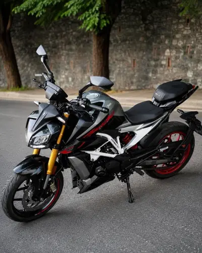TVS Motor RTR 310 (2024 - 26) usata