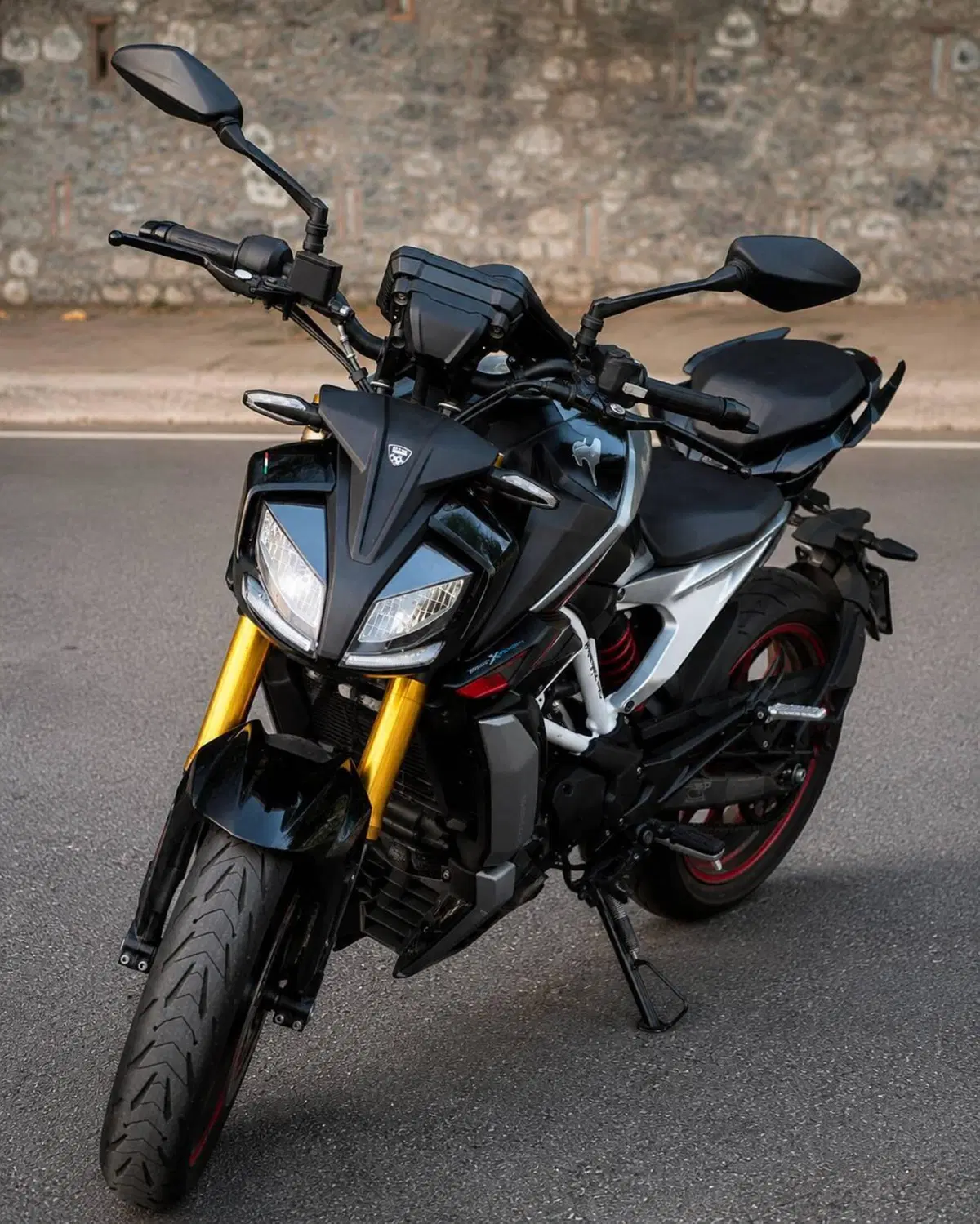 TVS Motor RTR 310 (2024 - 26) (2)