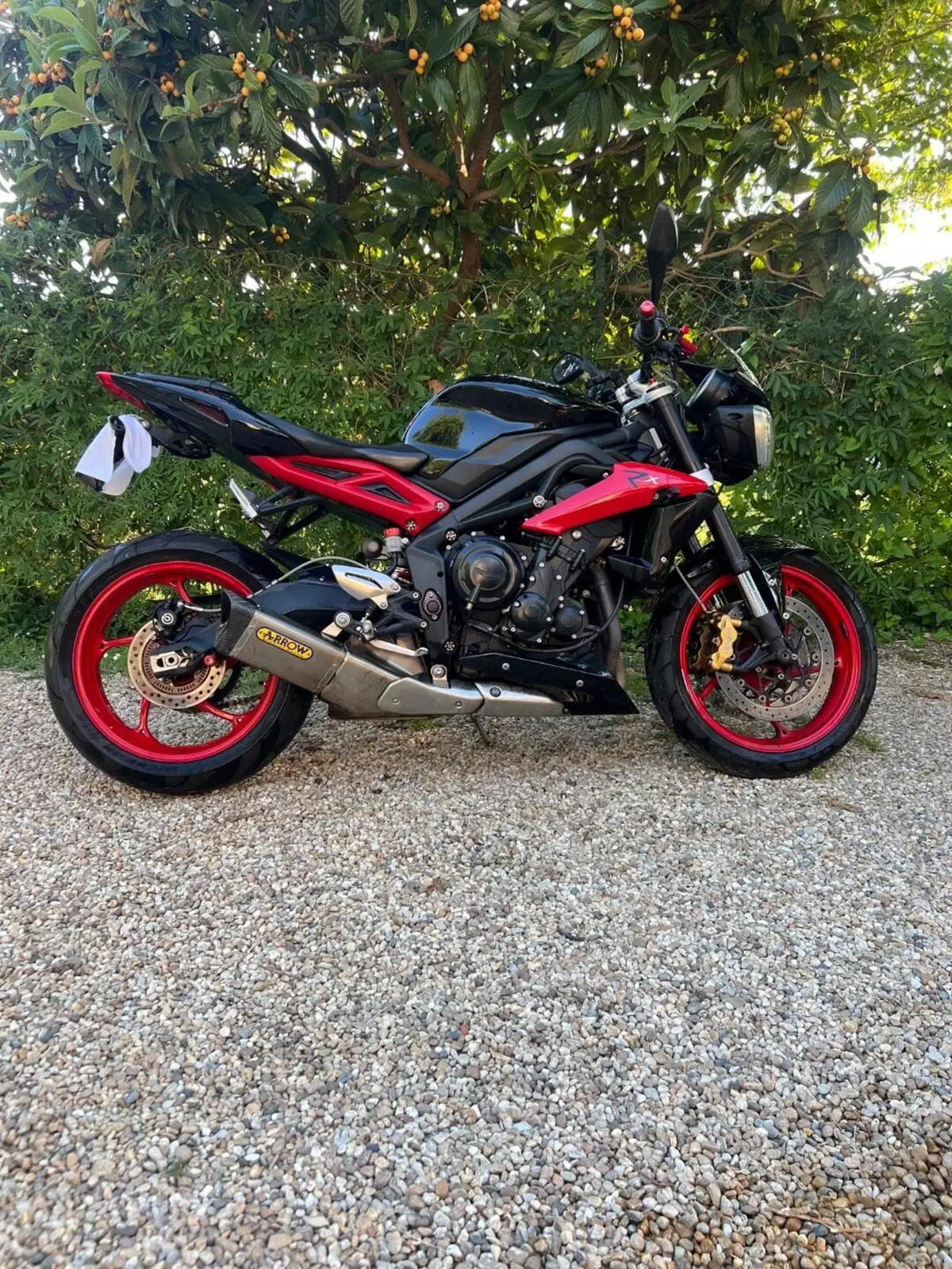 Triumph Street Triple RX ABS (2016 - 17) (3)