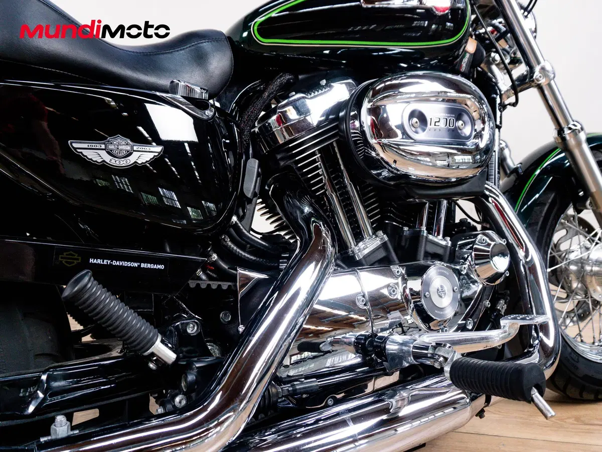 Harley-Davidson 1200 Custom ABS (2014 - 16) - XL 1200C (4)