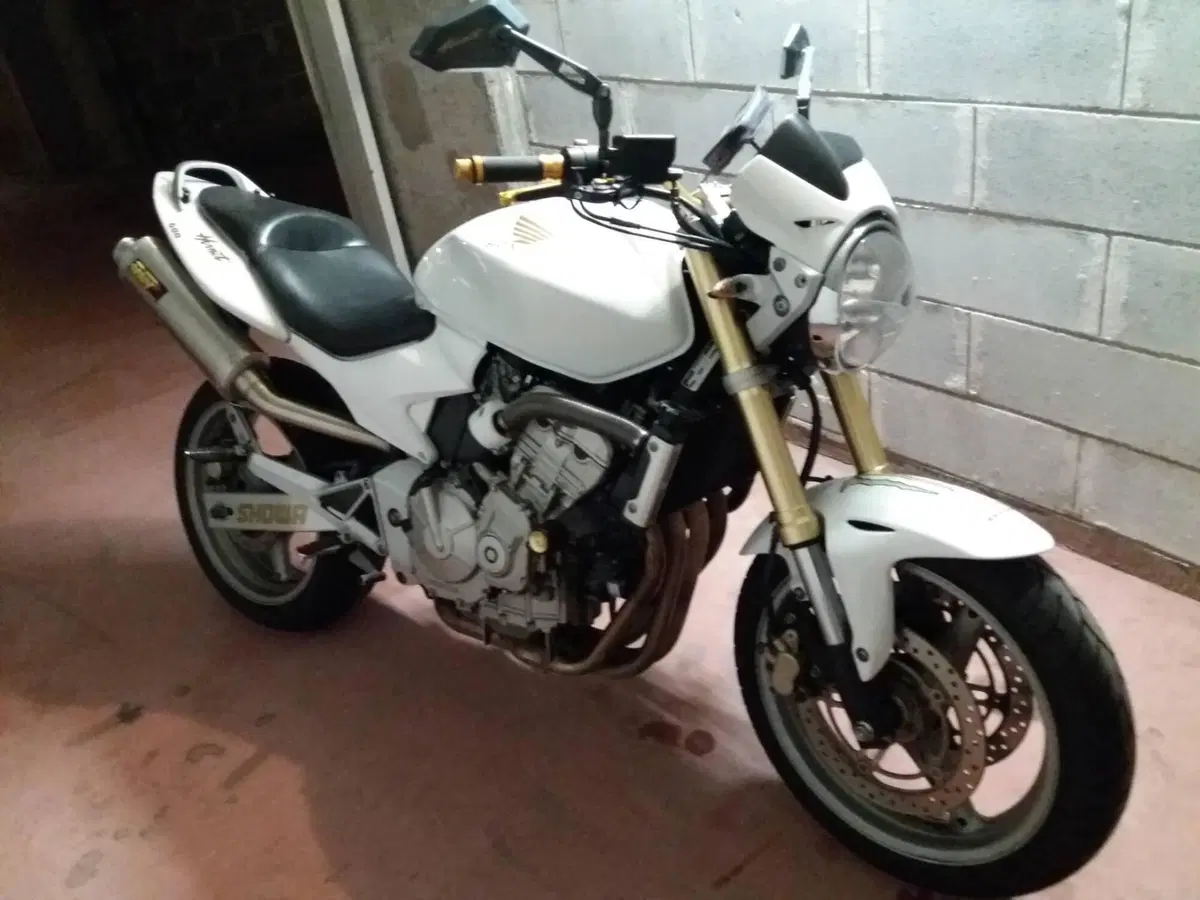 Honda Hornet 600 (2005 - 06)