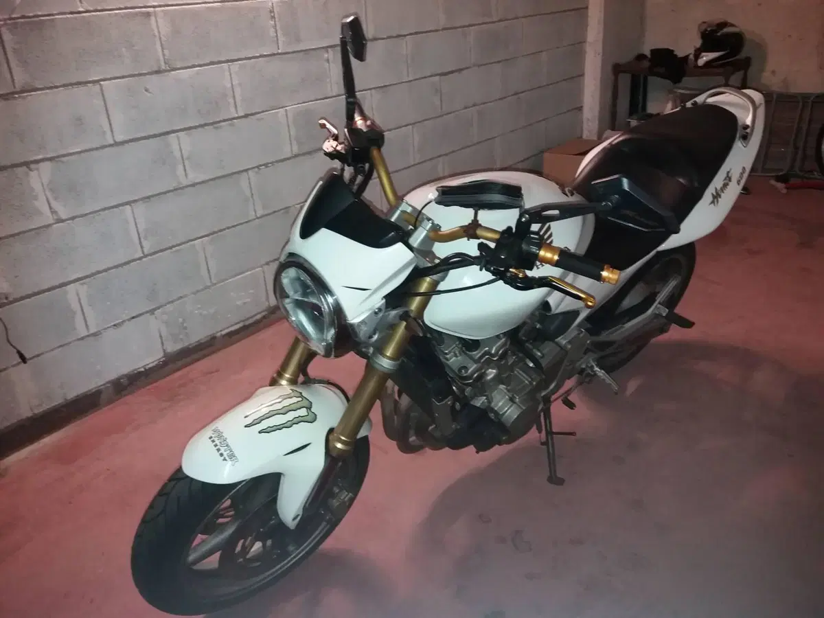 Honda Hornet 600 (2005 - 06) (3)