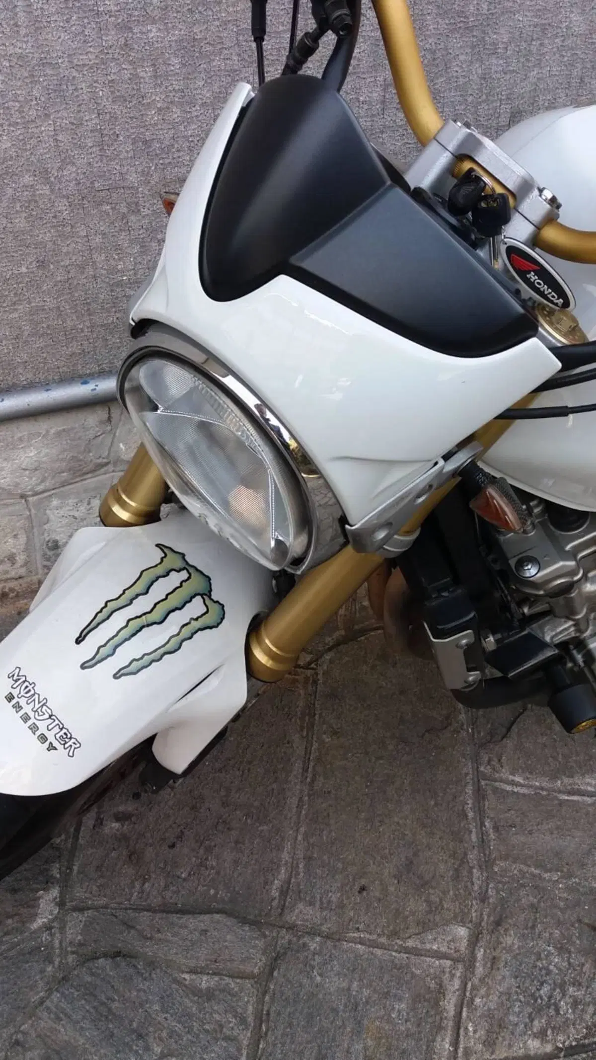 Honda Hornet 600 (2005 - 06) (8)