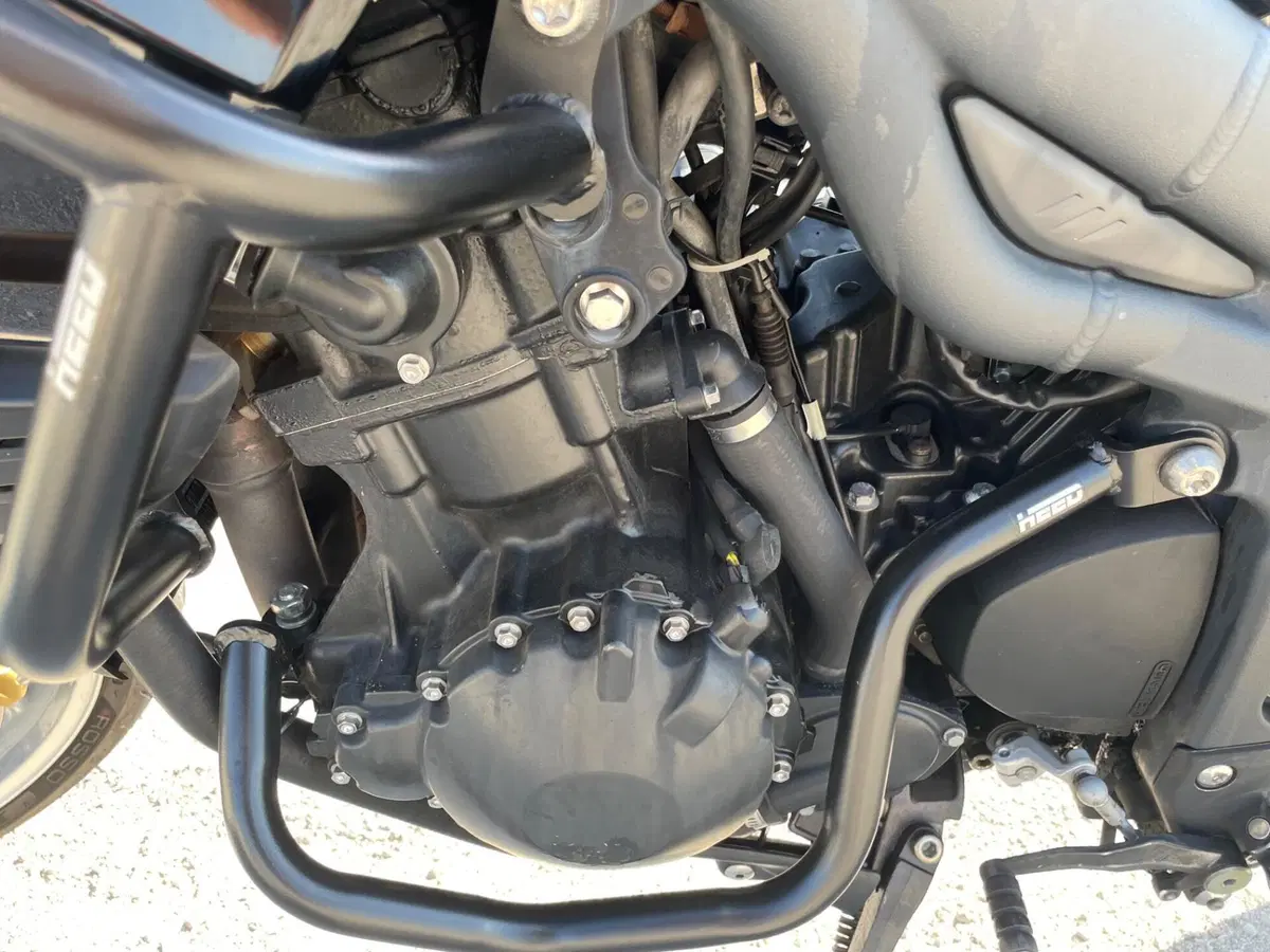 Triumph Tiger 1050 ABS (2006 - 12) (6)
