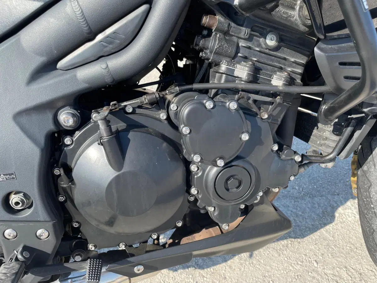 Triumph Tiger 1050 ABS (2006 - 12) (9)