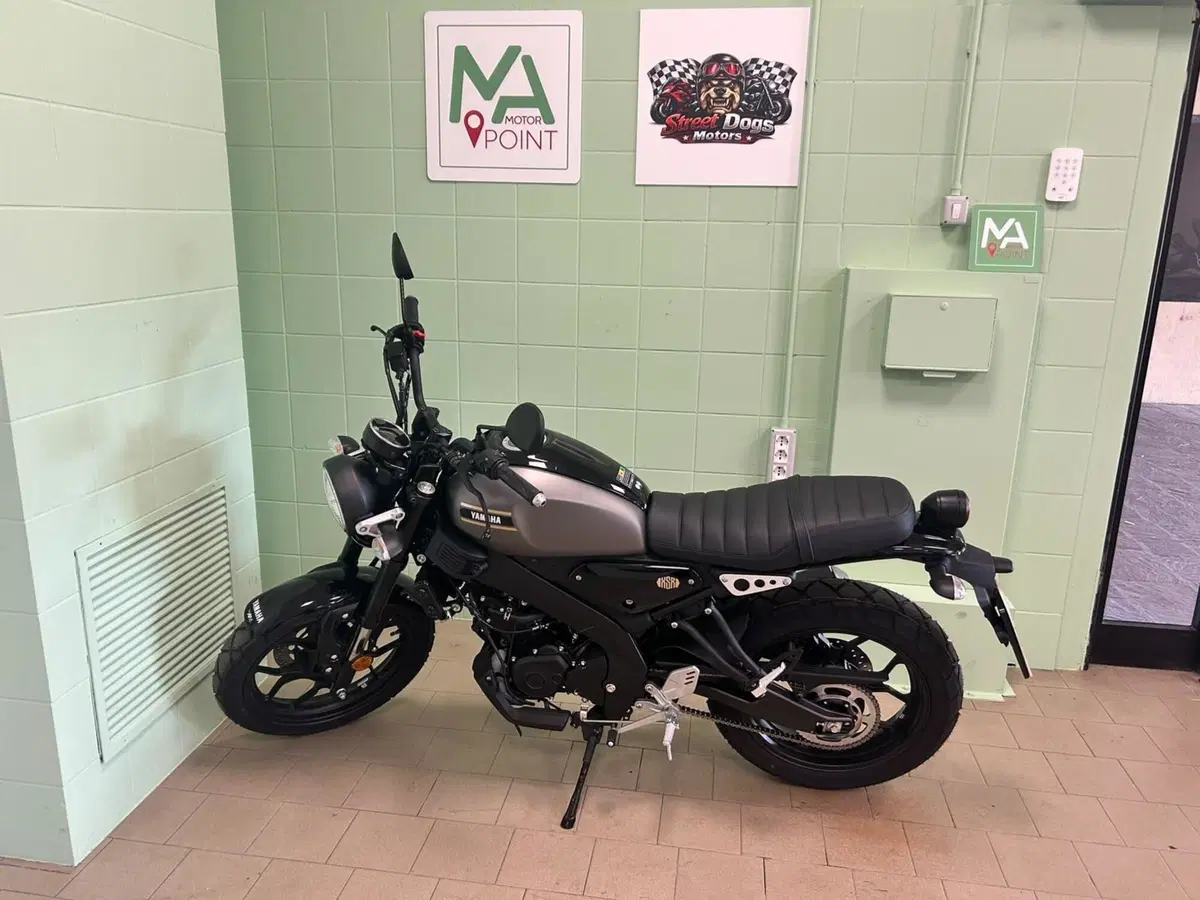 Yamaha XSR 125 (2025 - 26) (2)