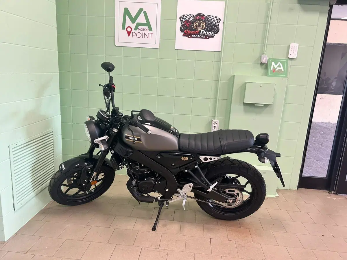 Yamaha XSR 125 (2025 - 26) (19)