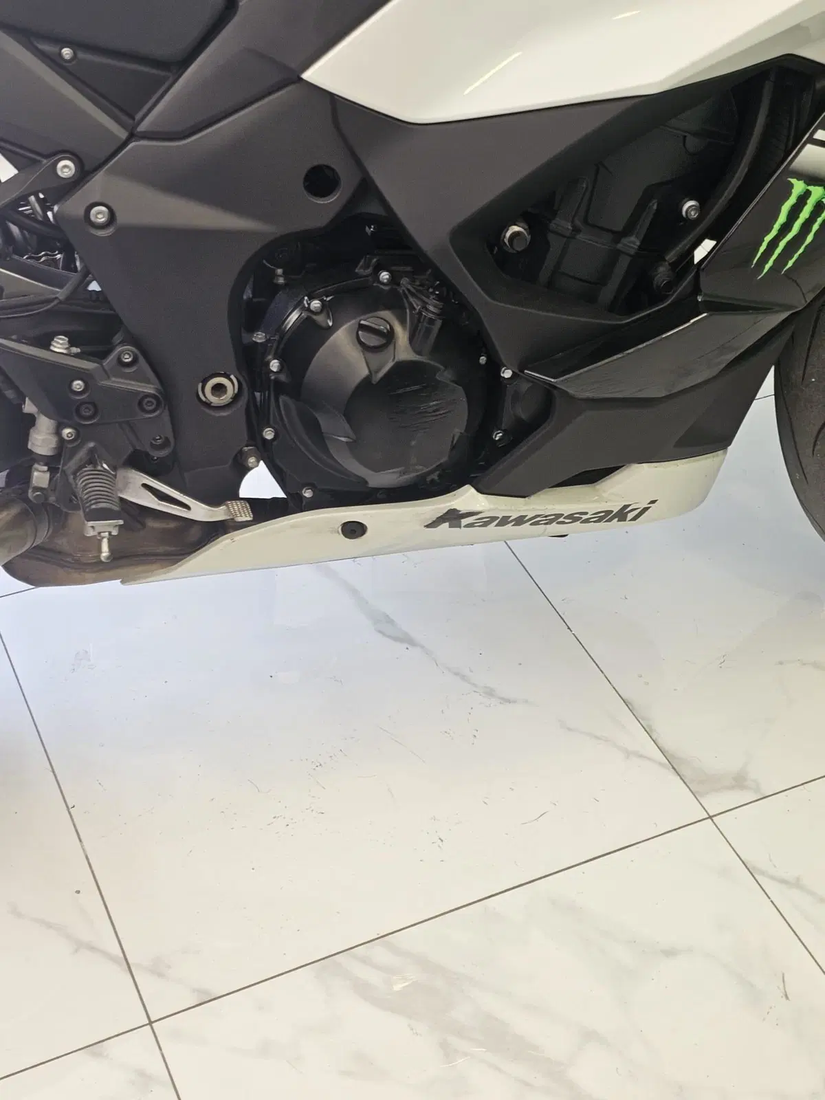 Kawasaki Ninja 1000 SX (2021 - 24) (9)