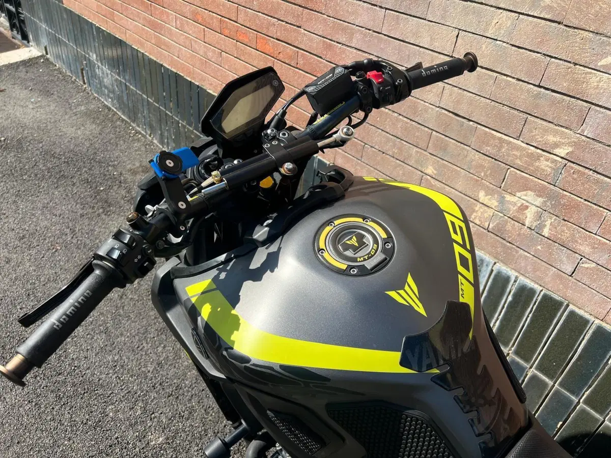 Yamaha MT-09 (2017 - 20) (16)