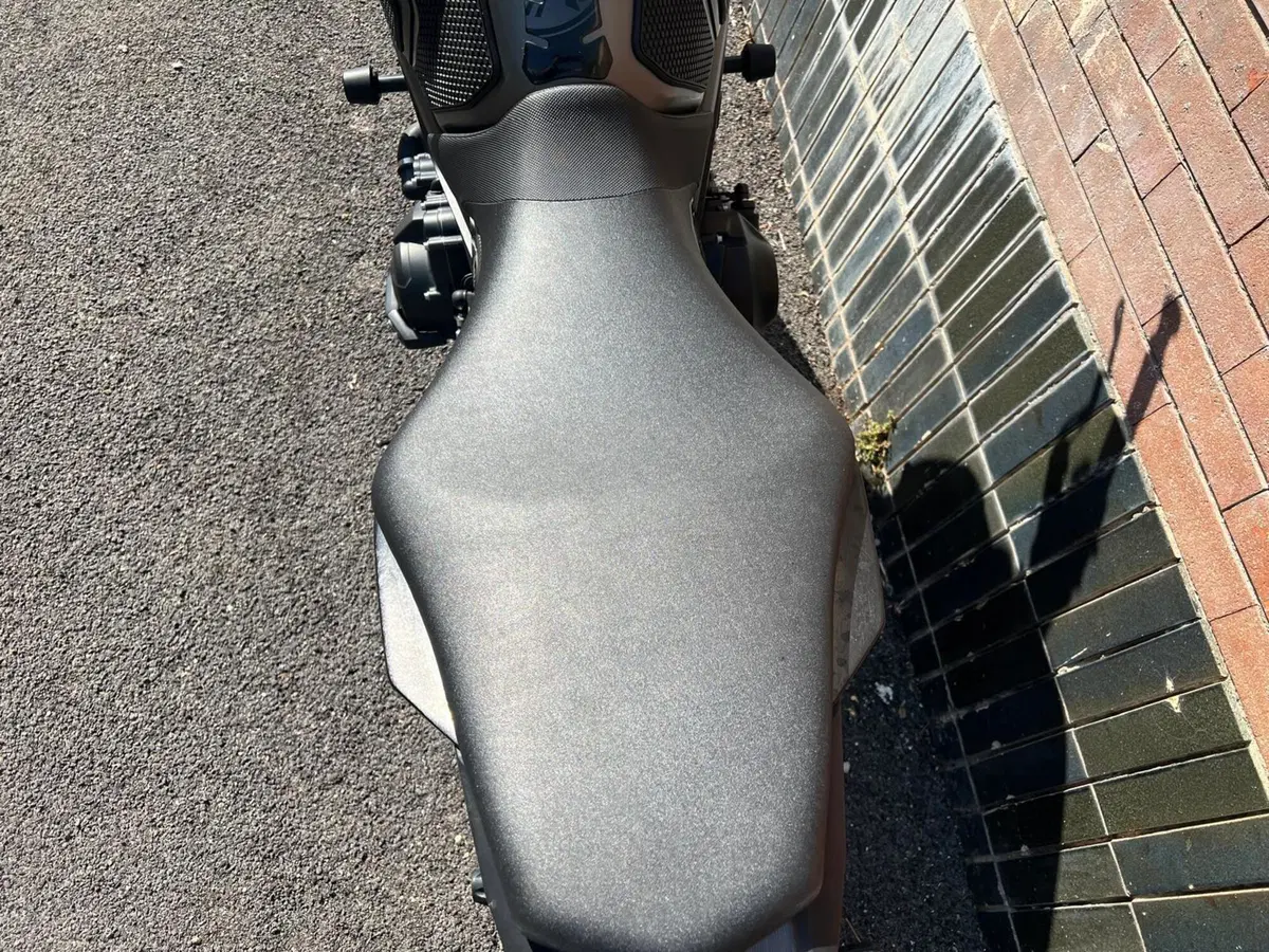 Yamaha MT-09 (2017 - 20) (17)