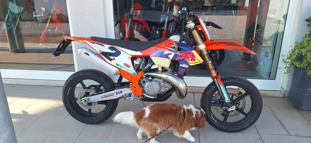 KTM 300 EXC E TPI (2022) (6)