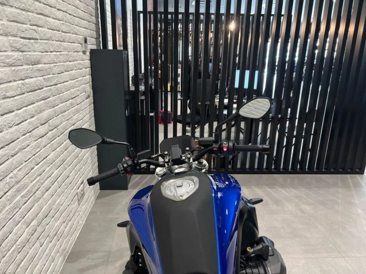 Bmw R 1300 R (2026 - 27) (7)