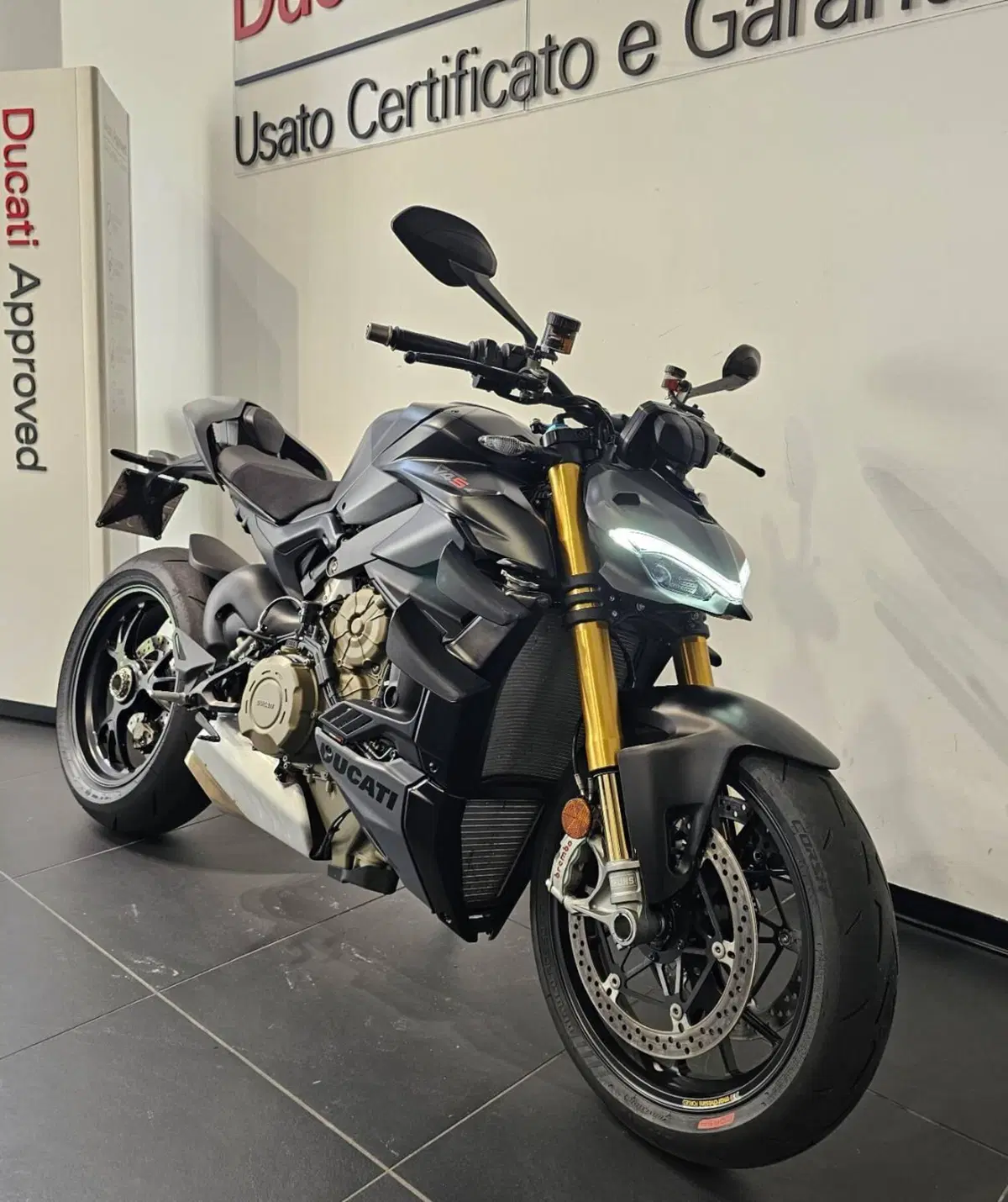 Ducati Streetfighter V4 S (2023 - 24) (3)