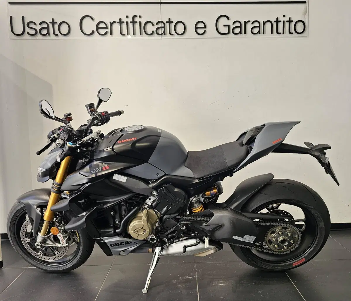 Ducati Streetfighter V4 S (2023 - 24) (6)