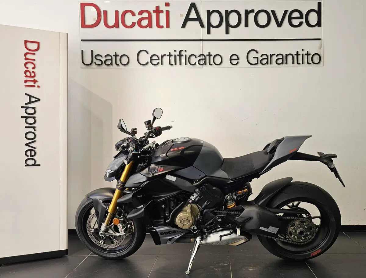 Ducati Streetfighter V4 S (2023 - 24) (7)