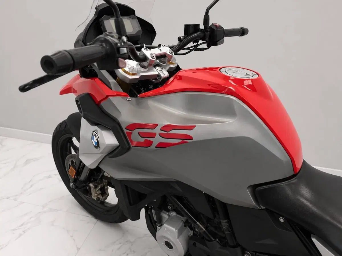 Bmw G 310 GS (2017 - 20) (10)