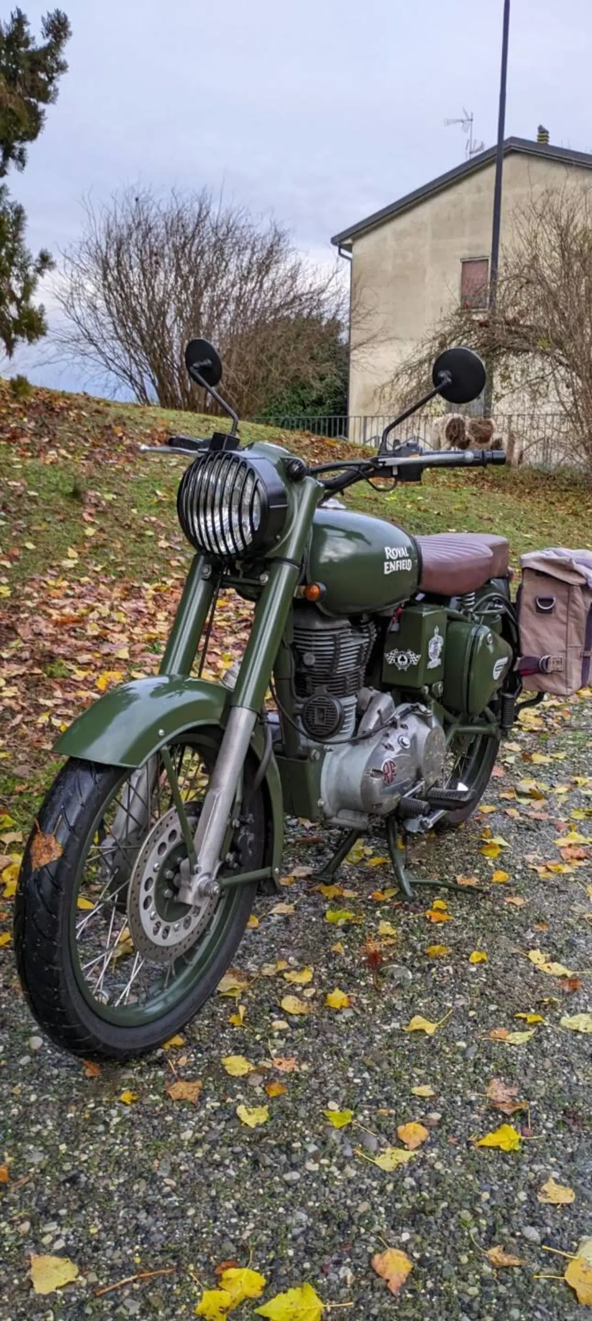 Royal Enfield Classic 500 EFI Battle Green (2017 - 20) (9)