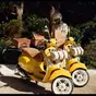 Ecco la Gigi Saint Tropez Edition, la Vespa più trendy ed esclusiva