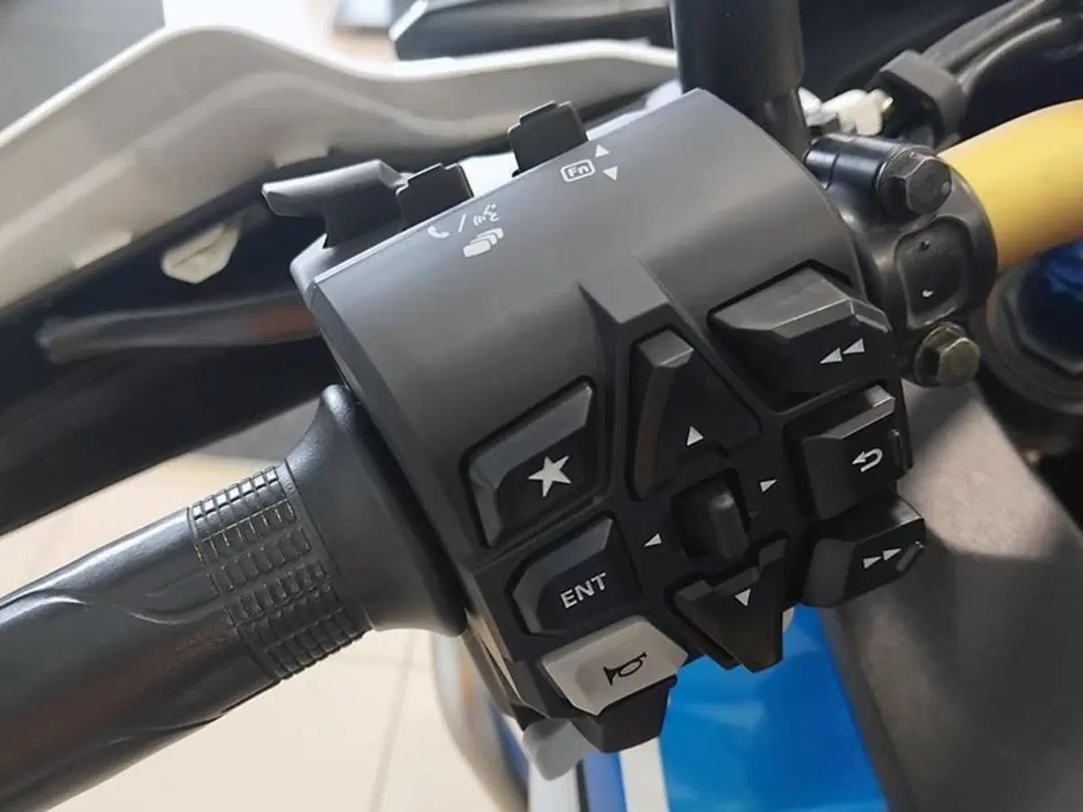 Honda Africa Twin CRF 1100L (2020 - 21) (3)