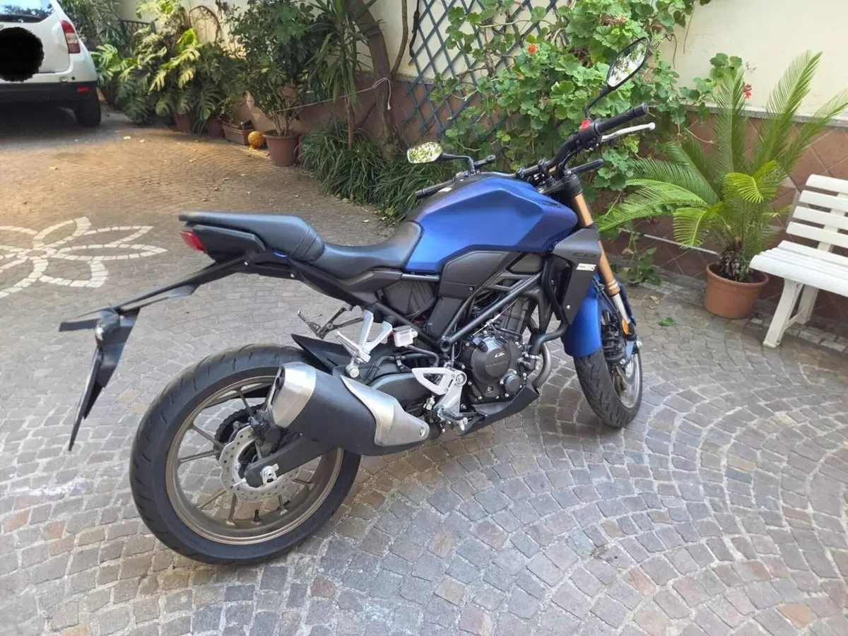 Honda CB 300 R (2022 - 26) (2)