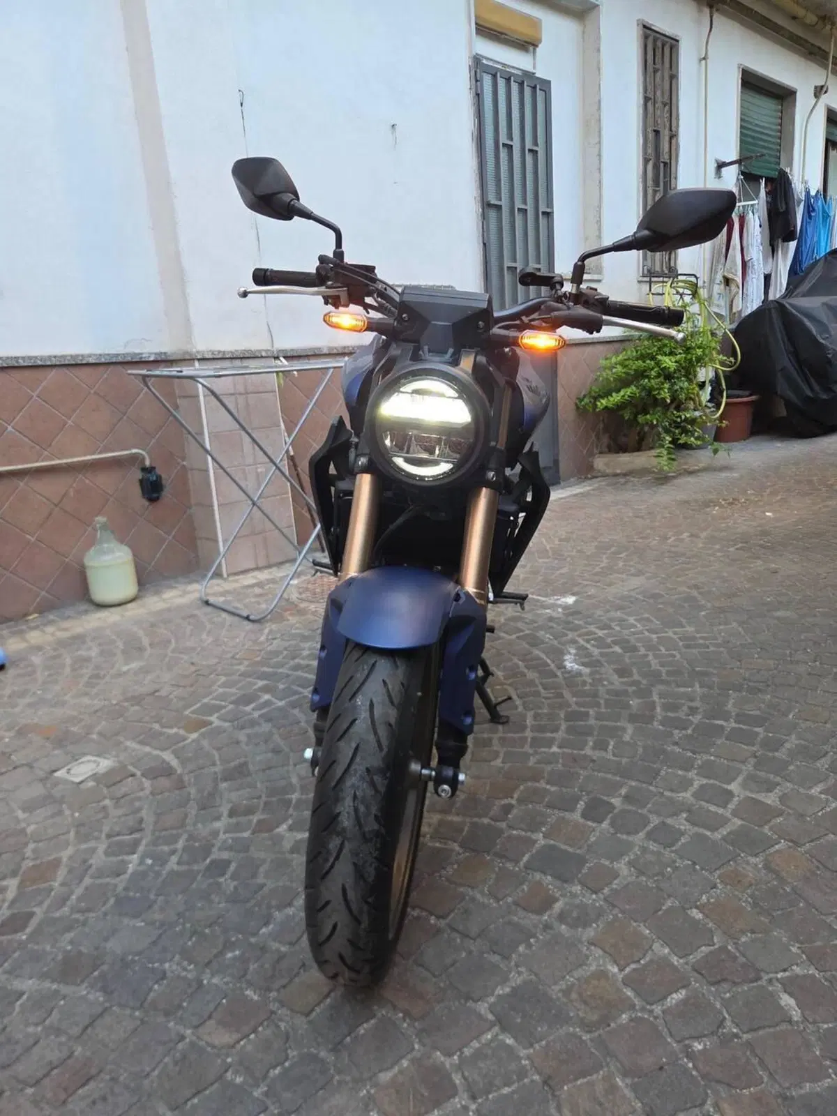 Honda CB 300 R (2022 - 26) (4)