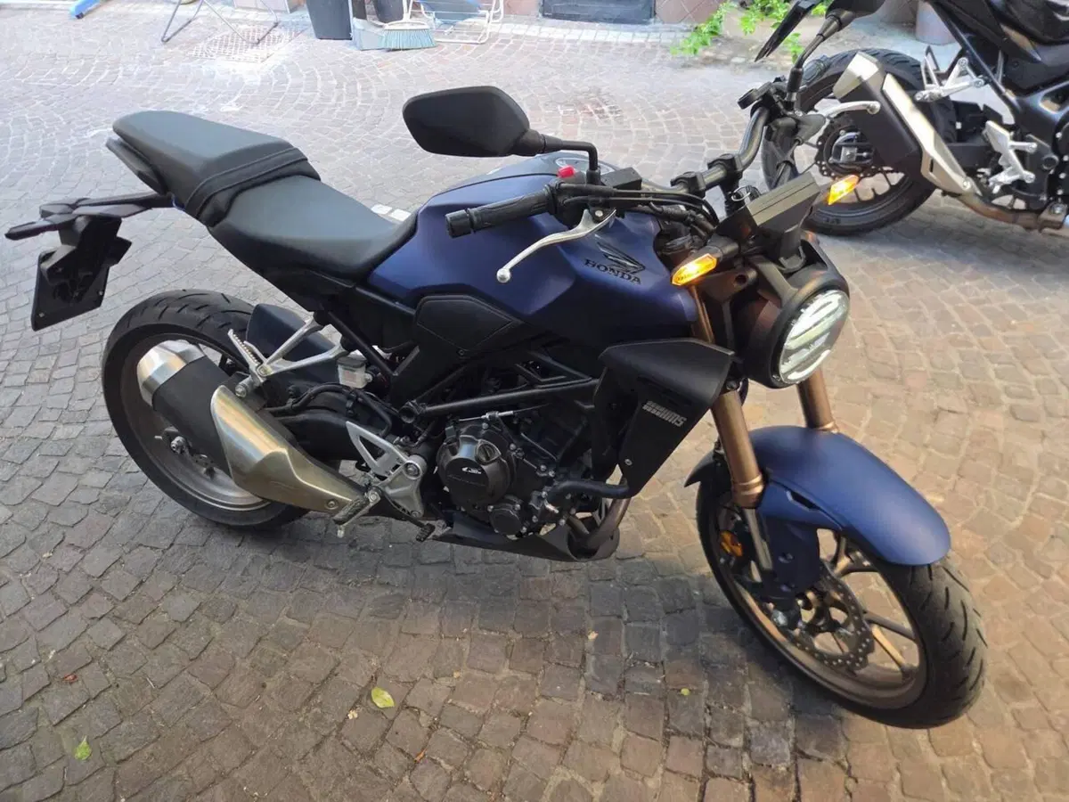 Honda CB 300 R (2022 - 26) (5)