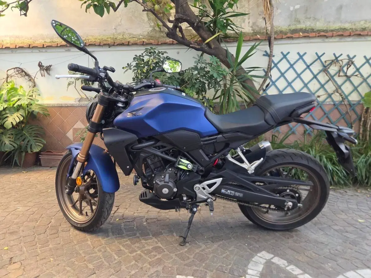 Honda CB 300 R (2022 - 26) (6)